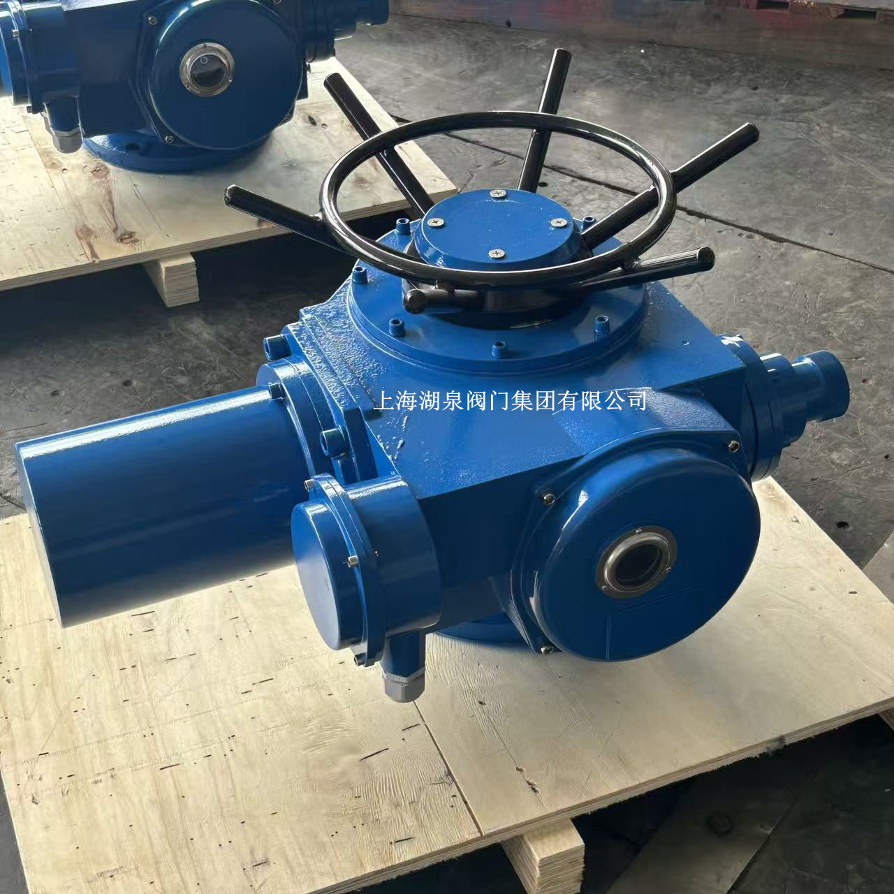 電動(dòng)執(zhí)行器